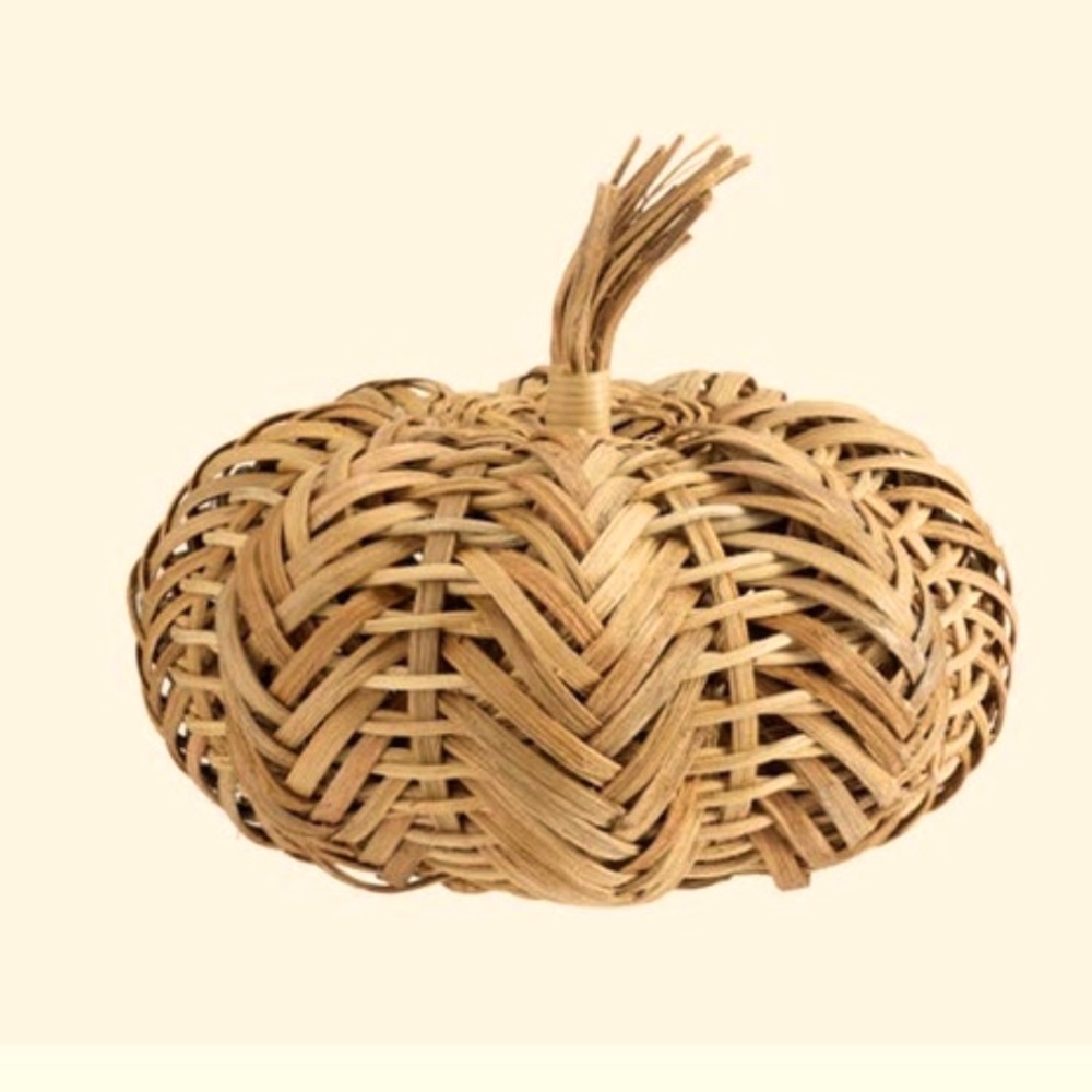 NWT Pottery Barn Decorative Pumpkin